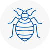 Bed Bug Extermination In Irlam