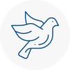 Bird Prevention Irlam