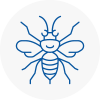 Irlam Hornet Nest Removals