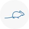 Mice Exterminators In Irlam