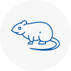 Rat Control Irlam