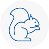 Irlam Rodent Removals