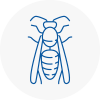 Irlam Wasp Nest Removal
